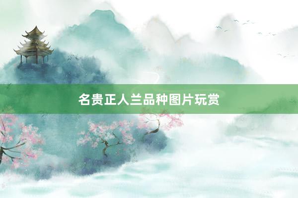 名贵正人兰品种图片玩赏