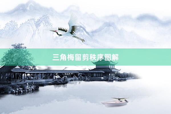 三角梅留剪秩序图解