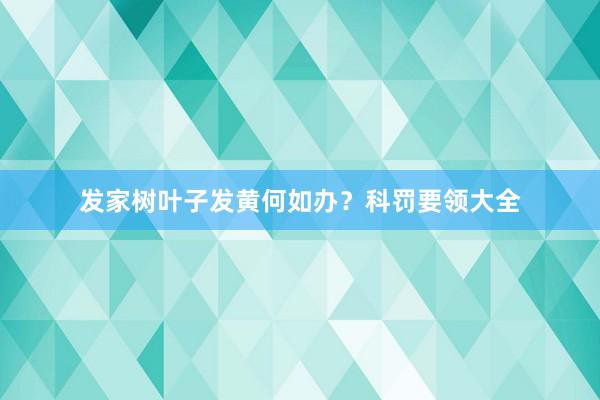 发家树叶子发黄何如办？科罚要领大全