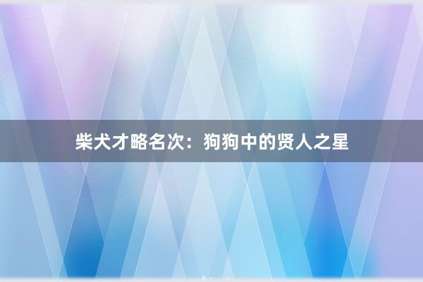 柴犬才略名次：狗狗中的贤人之星