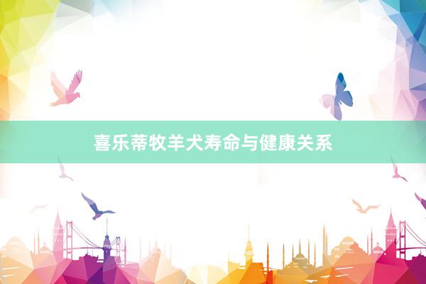 喜乐蒂牧羊犬寿命与健康关系